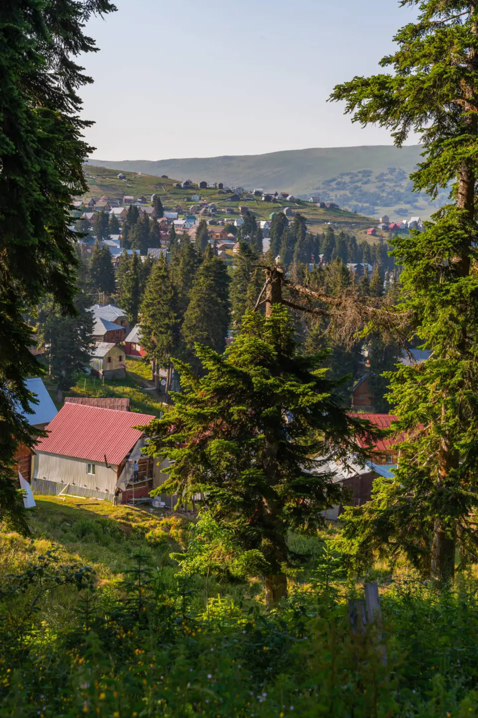 Hillside homes among deodar forest with open meadows above, Mussoorie
